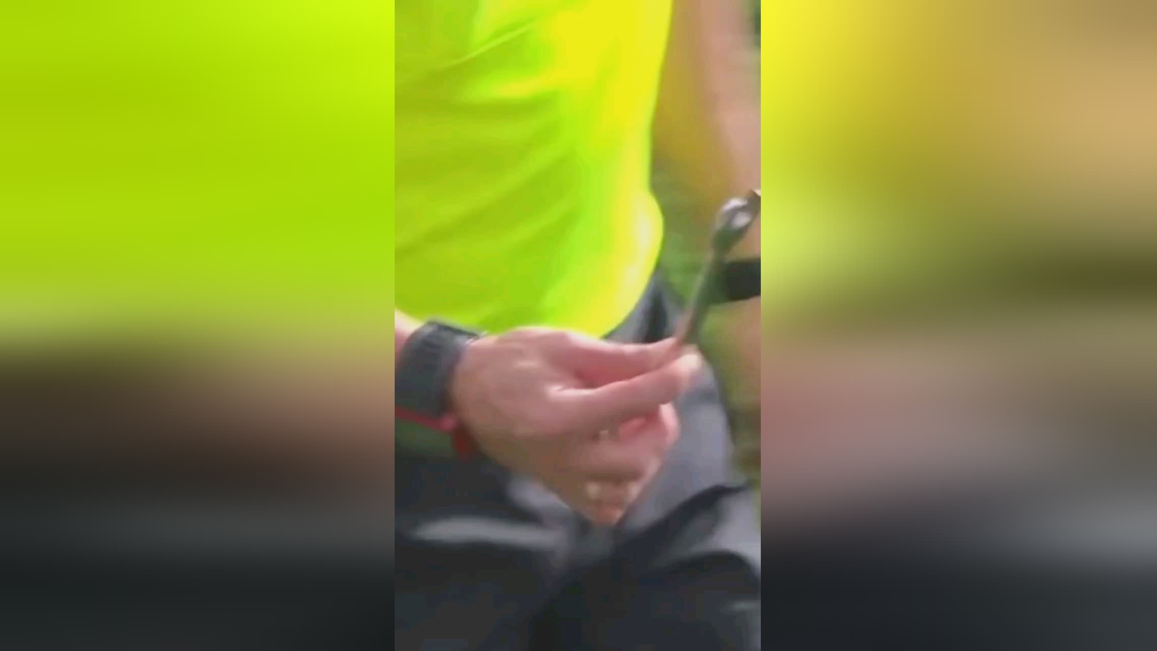 种跨